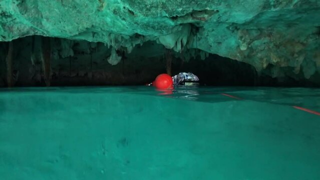 Swimming through the 'Gran Cenote' natural limestone pool cave with flying bats in Tulum, Mexico