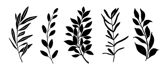 Set of leaves silhouette of beautiful plants, leaves, plant design. Vector illustration 