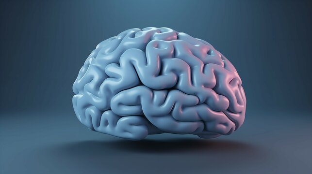 Simplified Human Brain in 3D Clipart Style