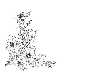 Hand-drawn line art of a bouquet composed of flowers and hawthorn leaves in black and white 