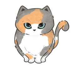 Calico cat