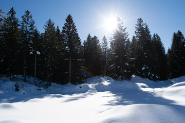 Sun in Winter
