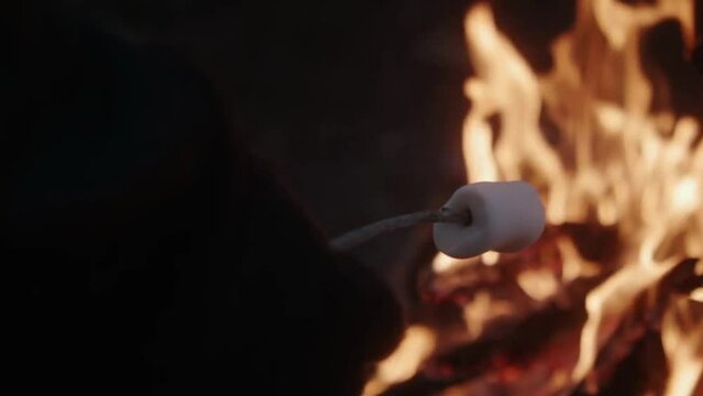 roasting marshmellows in a fireplace