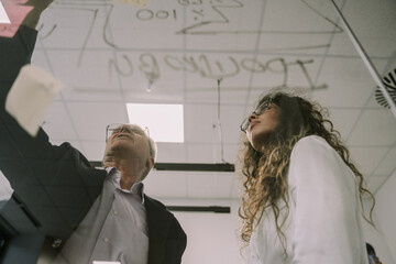 Senior businessman explaining sales profit calculations to his junior female colleague