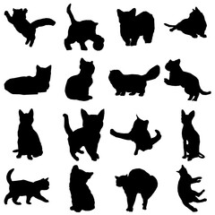 cat icon transparent png