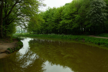 Beautiful Landscape in Vorden, Netherlands/Holland during spring 2023.  Many trails, beautiful green, perfect to ride a bike or going for a walk. Place to relax full of nature. Tall trees.