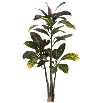 3d illustration of codiaeum variegatum plant isolated on transparent background