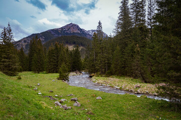 Polish Tatras view from the Chocholowska Valley