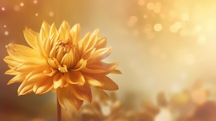 Golden dahlia background, close-up of dahlia bloom, blurred focus. Luxury dreamy background. Generative AI.