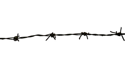 Barbed wire fence on white background