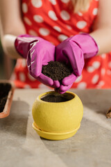 Flower shop worker potting plants. Cropped view of woman in garden gloves putting soil in flower pot. Cropped view of a lady in dress doing home gardening