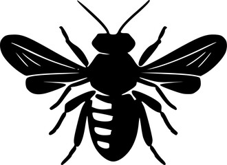 Bee - Black and White Isolated Icon - Vector illustration