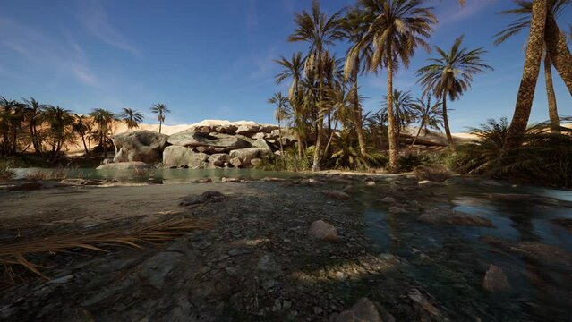 Fantasy pond oasis in a palm forest