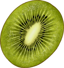 sliced kiwi illustration