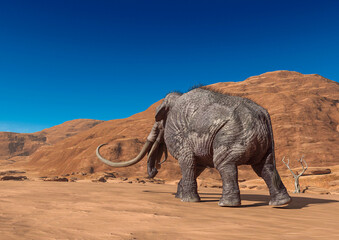 Fototapeta premium colossadon mammoth is walking on the dry desert in rear view with copy space