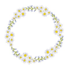 Wildflowers wreath. Botanical floral background for greeting card. Hand drawing illustration.