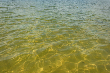 Waves and glare on the surface of the water. Shallow. Lake. Background