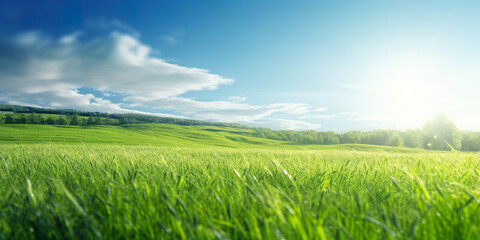 Beautiful panoramic natural landscape of a green field with grass against a blue sky with sun. Generative AI