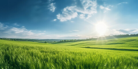 Obraz na płótnie Canvas Beautiful panoramic natural landscape of a green field with grass against a blue sky with sun. Generative AI