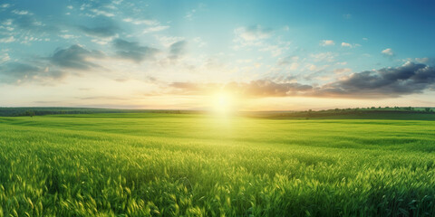Beautiful panoramic natural landscape of a green field with grass against a blue sky with sun. Generative AI