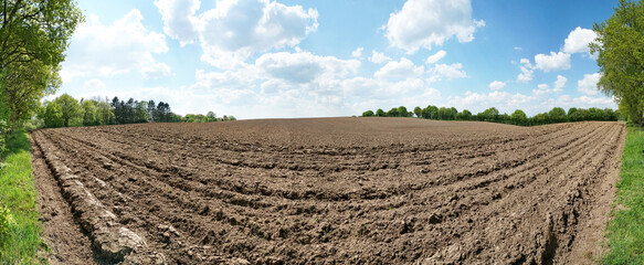 Freshly ploughed field at the edge of the forest - Panorama