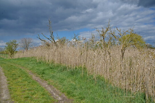 Weg auf fr&uuml;herem Rieselfeld bei Teltow, Ortsteil Ruhlsdorf