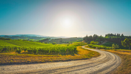 Road and vineyards in the San Gimignano countryside. Tuscany, Italy - 604379697