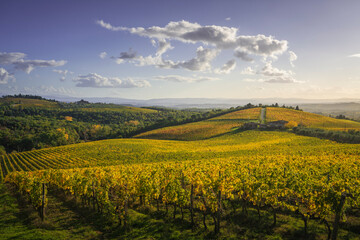 Fototapeta premium Gaiole in Chianti vineyards and panorama at sunset. Tuscany, Italy