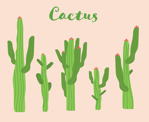 Illustration Mexican cactus and aloe. Desert spiny plant, mexico cacti flower and tropical home plants isolated vector collection