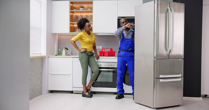 Fridge Appliance Repair And Maintenance