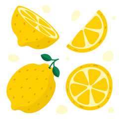 Hand Drawn Lemon. Half Of Lemon, Slice. Colorful Flat Style Vector Illustration