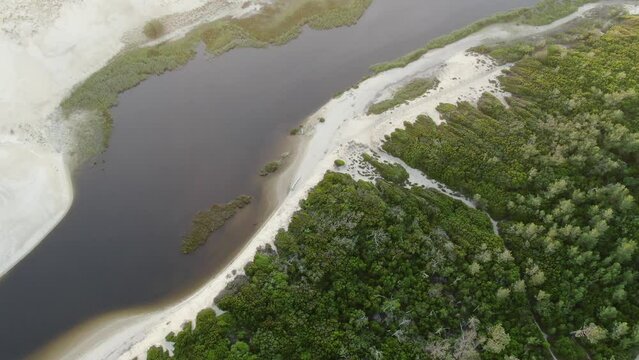 Aerial view of the sandy beach and its river in France between forest, dune and the Landes Amazon In Moliets