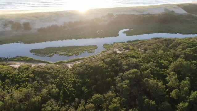 Aerial follow-up of the Huchet Current showing all the water channel formed behind the dune before the Landes pine forest