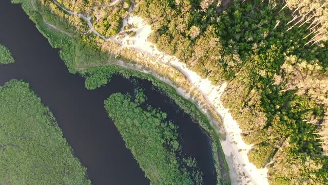 Le Courant d'Huchet, Moliets-et-Ma&acirc;, Les Landes, Aquitaine, France, Europe