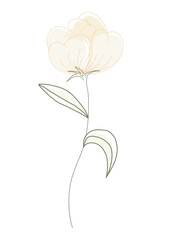 illustration of a flower