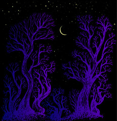 Surreal night sky forest moon and star fantasy illustration. Enchanted forest fantasy background with colorful trees.