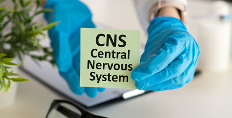 CNS - Central Nervous System is the part of the nervous system consisting primarily of the brain and spinal cord, acronym text concept background - obrazy, fototapety, plakaty
