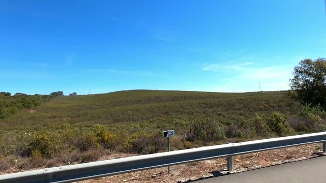Portugal landscape with pine trees, cistus and lots of space with blue sky