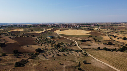 pola łąki natura krajobraz widok wieś rośliny © Piotr