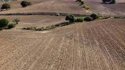 pola łąki widok wieś rolnictwo rośliny - obrazy, fototapety, plakaty