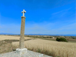 pola łąki widok wieś rolnictwo rośliny © Piotr