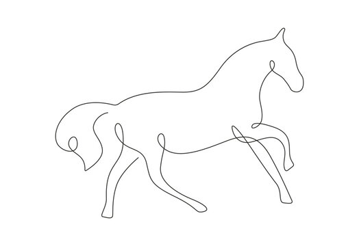 Continuous one line drawing of a horse, hand drawn continuous one line art of a horse.