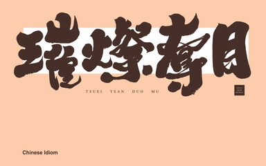 璀璨奪目。The Chinese idiom 