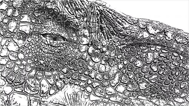 cartoon dinosaur head. close up of a cartoon velociraptor. 2d animation of a dinosaur eye. black and white dinosaur head background