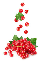 Red currant berry isolated on white background