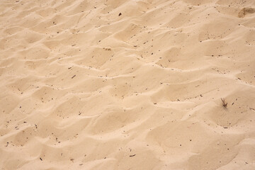 Sand in the desert with a pattern from the wind as a background.