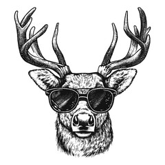 cool deer wearing sunglasses vector sketch - obrazy, fototapety, plakaty