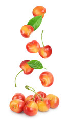 yellow-red sweet cherry isolated on white background with full depth of field