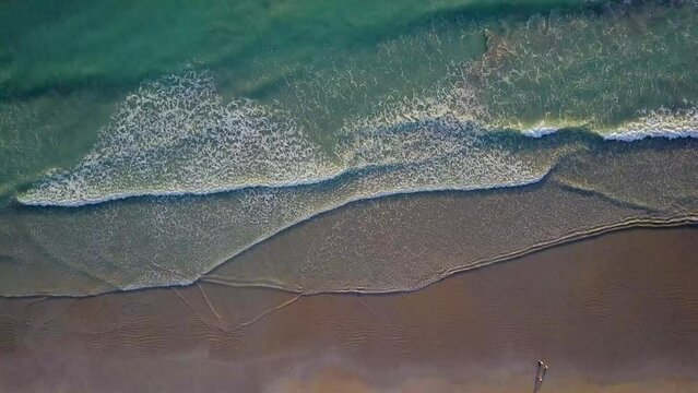 shore beach people drone view with
