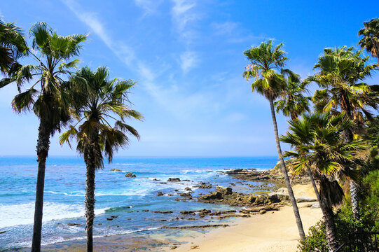 Palm trees framing the sandy shores of the blue Pacific Ocean. Laguna Beach, California, USA.